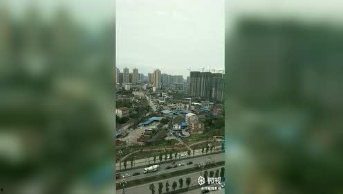 万绿园命案天涯爆料视频,天涯爆料视频揭露惊人真相  第3张